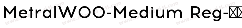 MetralW00-Medium Reg字体转换